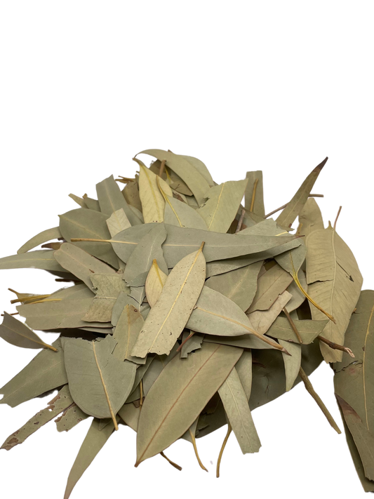 Feuilles d'Eucalyptus - Tibbiya