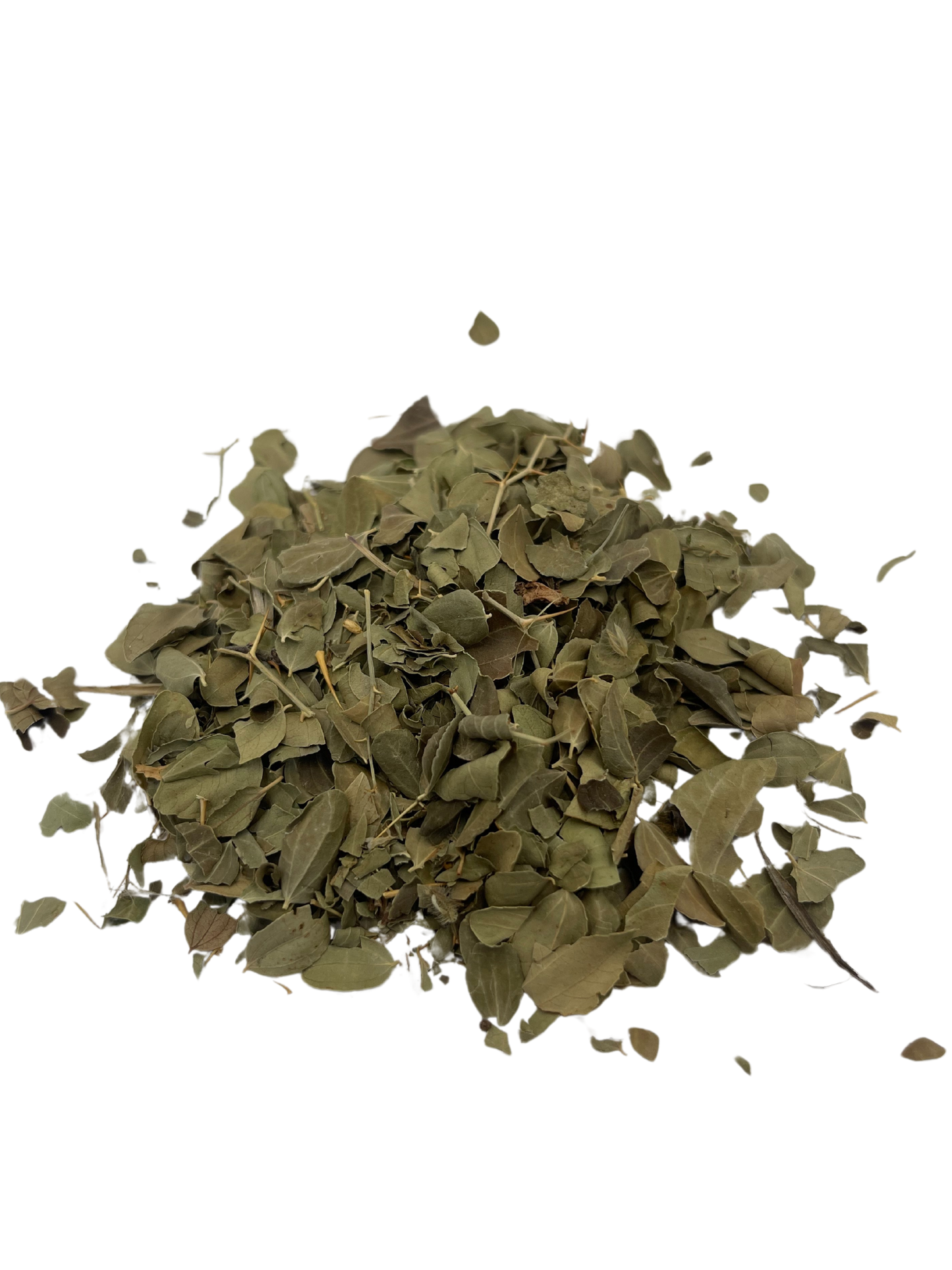 Feuilles de Sidr - Tibbiya