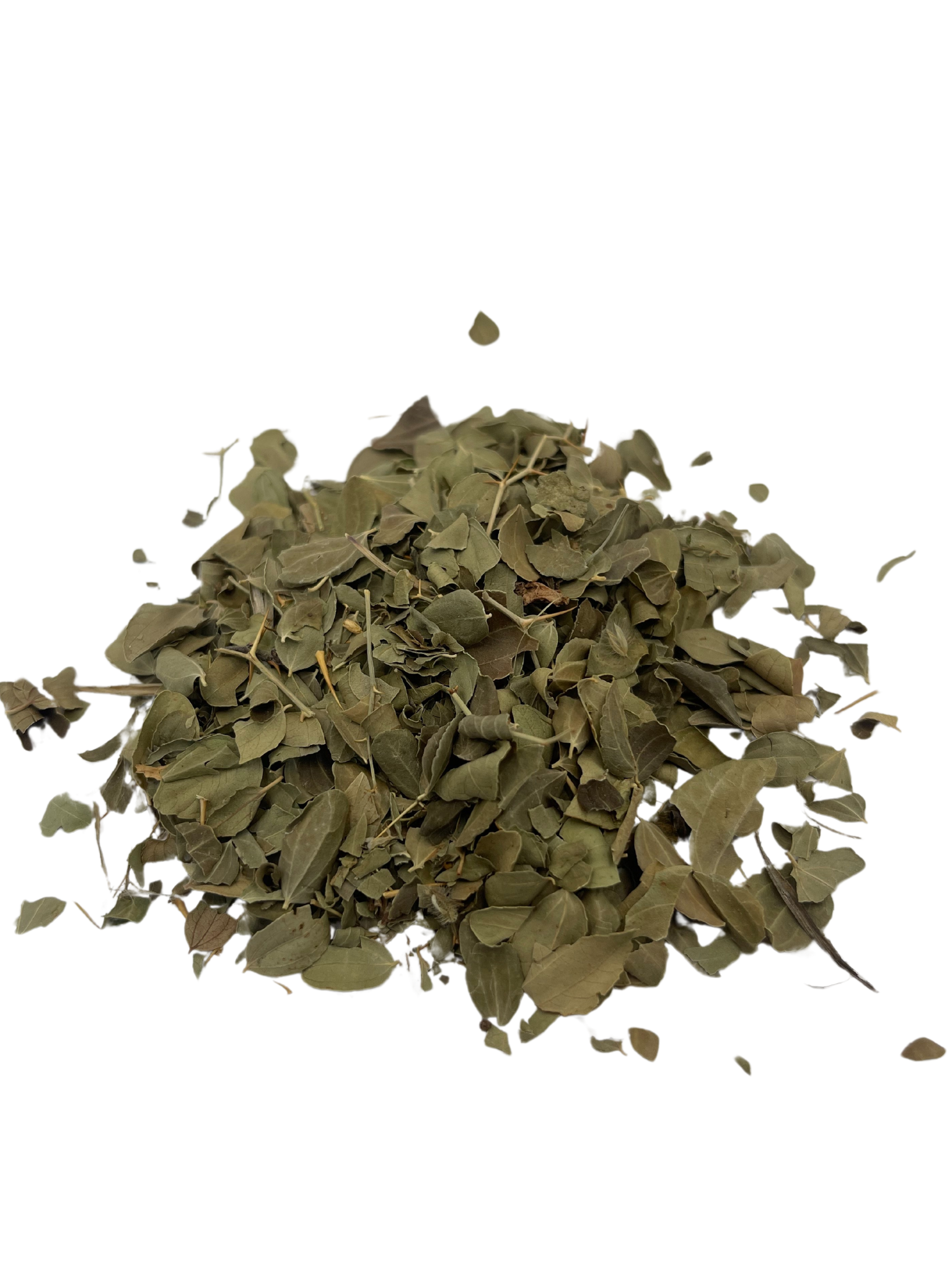 Feuilles de Sidr - Tibbiya