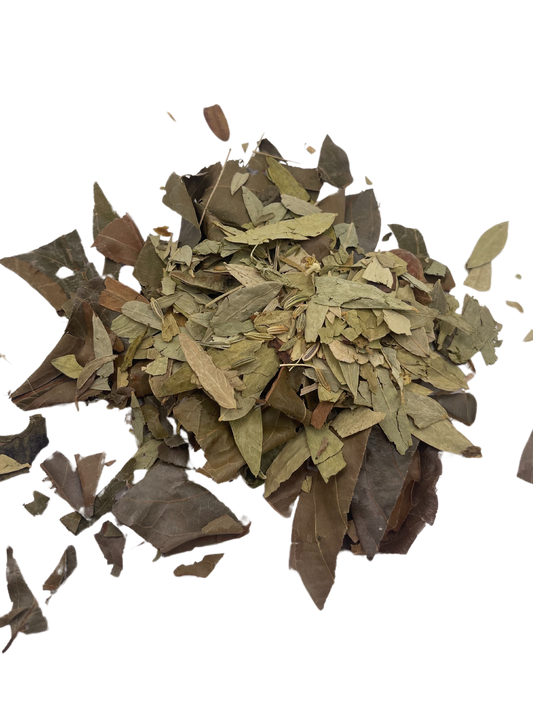 Tisane Détox Purifiante – Légèreté & Vitalité - Tibbiya