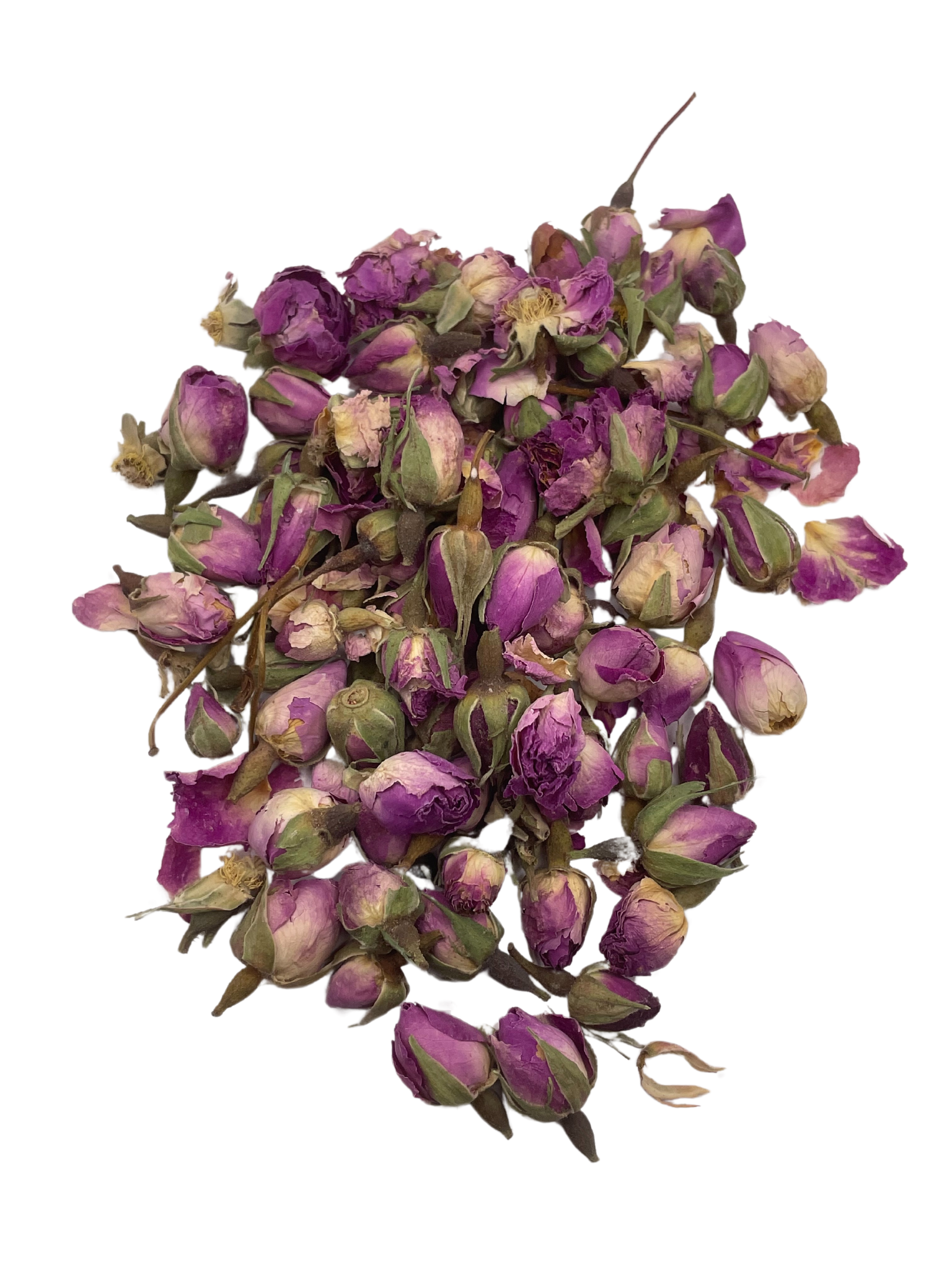 Ward (Fleur de rose) - Tibbiya